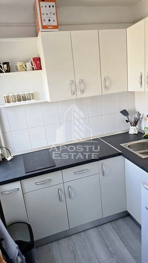 Garsoniera de vanzare, renovata, zona Complexul Studentesc, Timisoara - imagine 12
