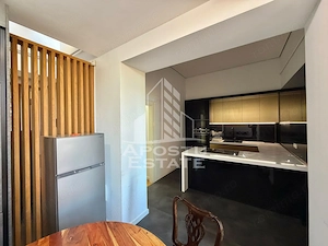 Apartament cu 4 camere de inchiriat, petfriendly, Centru,Timisoara - imagine 13