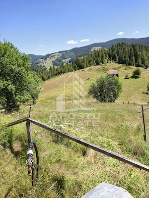 Casă de vacanță la Arieșeni/2 km de Pârtia Vârtop/280MP/1000MP TEREN - imagine 14