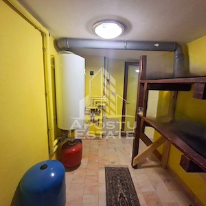Casa Vladimirescu 5 camere 180 mp utili D.P.M - imagine 13