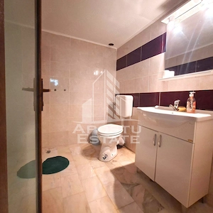 Casa Vladimirescu 5 camere 180 mp utili D.P.M - imagine 14
