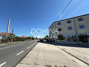 Închiriere spațiu comercial 263 mp cu piscină interioară – DN 66, Romanești - imagine 7