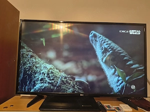 Televizor Lg