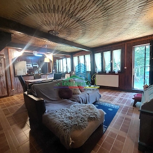Casa de vacanta (Pensiune) in Lepsa - imagine 3