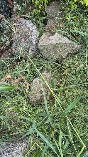 Stânci   Bolovani din GRANIT natural (Clisura Dunării) 
