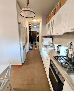 Apartament cu 2 camere decomandat de vanzare in Borhanci cu terasa - imagine 9
