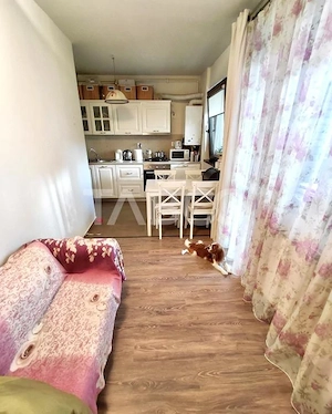 Apartament cu 2 camere decomandat de vanzare in Borhanci cu terasa - imagine 6