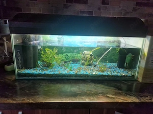 vand acvariu 100L - imagine 3
