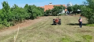 Vând teren intravilan. 