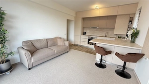 Apartament 2 camere, zona Berariei