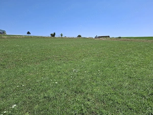 Teren 3.800 mp Dealu Dăii (Zonă Bungard Zorabia)   Utilități în vecinătate - imagine 4