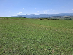 Teren 3.800 mp Dealu Dăii (Zonă Bungard Zorabia)   Utilități în vecinătate - imagine 5