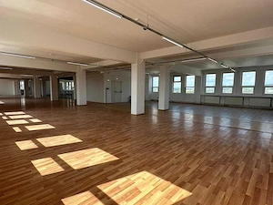 Spatiu birouri 500 mp zona Industriala EST - imagine 6