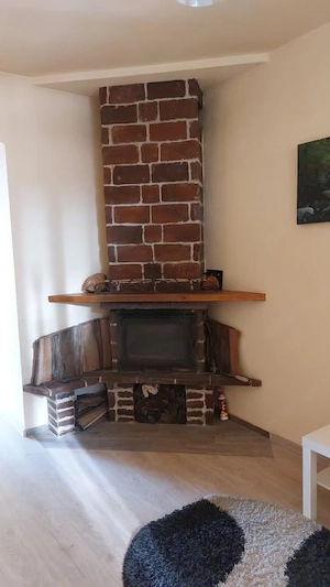 Apartament 3 camere, la casa, 73 mp utili, 35 mp curte, parter-Iosefin - imagine 6