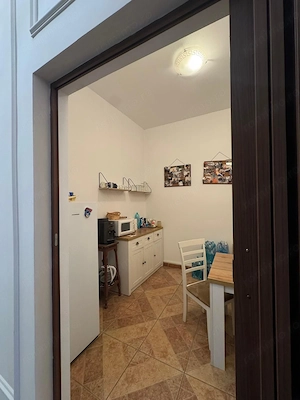 Apartament interbelic Ultracentral - imagine 9
