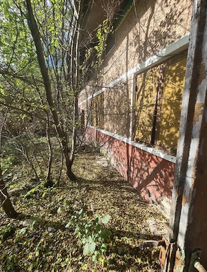 Casa de vânzare in CRIHALMA  jud : BRAȘOV - imagine 5