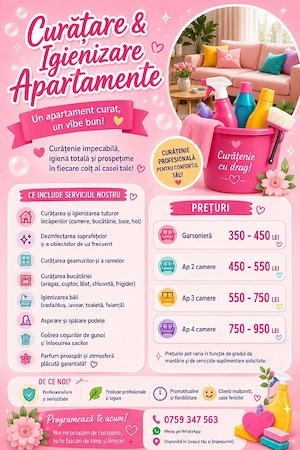 curatenie la domiciliul clientului 
