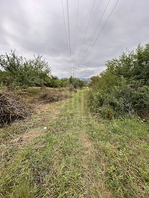 Teren intravilan de vânzare în Daia Nouă – 1.000 mp - imagine 2