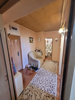 Apartament 2 camere central - imagine 6