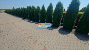OPORTUNITATE DE INVESTITIE CASA P+M, TEREN 10.000 MP. HUTANI, VLADENI - imagine 8