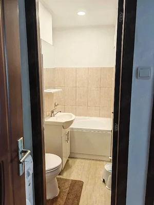 Apartament 2 Camere   Zonă Buna, Excelent pentru Investiție sau Locuit (Cartier Alunisului ) - imagine 3