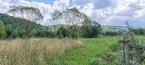 Teren 4.950 mp in Vama Buzaului - sat Buzaiel. - imagine 8