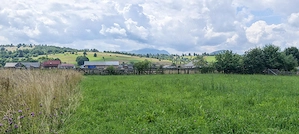 Teren 4.950 mp in Vama Buzaului - sat Buzaiel. - imagine 6
