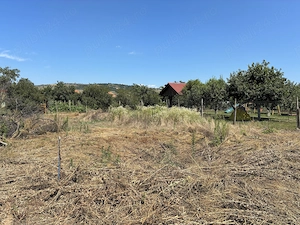 Casa de vanzare + teren 1.080 mp Miercurea Sibiului - imagine 10