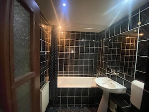 APARTAMENT DOUA CAMERE LUGOJ - imagine 7