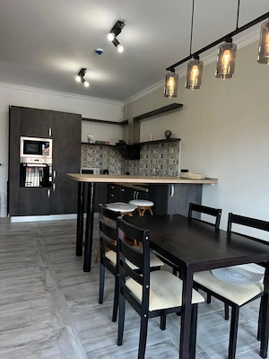 Vilă modernă în Centru cu 2 apartamente independente - imagine 12
