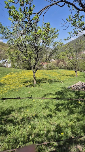 Vand teren Siriu