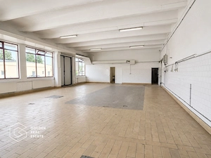 Hala Industriala Premium, Zona de Sud, Timisoara - imagine 2