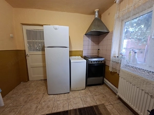 Casa Viile Noi,proprietar - imagine 10
