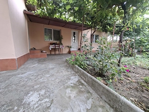 Casa Viile Noi,proprietar - imagine 4
