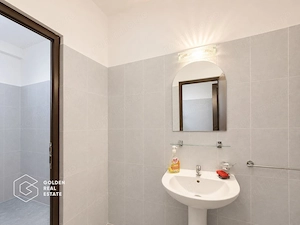 Hala industriala, 572 mp, Sud- Timisoara - imagine 4