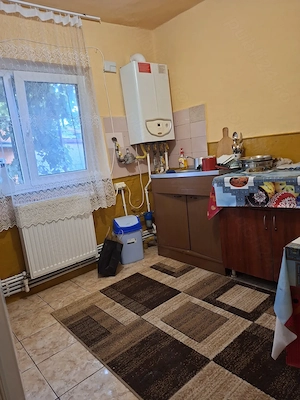 Casa Viile Noi,proprietar - imagine 9