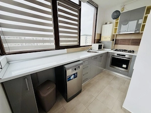 Apartment 2 camere 56 mp Str Tineretului mobilat și utilat complet  - imagine 4