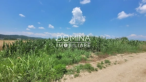 Vânzare teren intravilan, 3504 mp, sat Ceauru, comuna Bălești - imagine 3