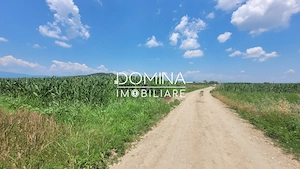 Vânzare teren intravilan, 3504 mp, sat Ceauru, comuna Bălești - imagine 7