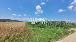 Vânzare teren intravilan, 3504 mp, sat Ceauru, comuna Bălești - imagine 5