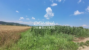 Vânzare teren intravilan, 3504 mp, sat Ceauru, comuna Bălești - imagine 4