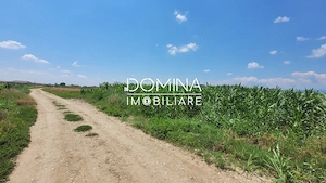 Vânzare teren intravilan, 3504 mp, sat Ceauru, comuna Bălești - imagine 8