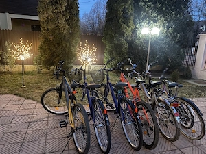 Cazare vila Lilu House Campina - imagine 2