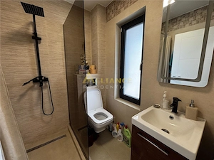 Casa individuala 4 camere , 2 b #259;i , mobilat-utilat #259; - imagine 13