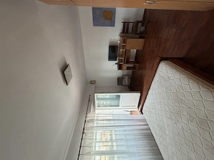 Apartament 1 camera Alexandru cel Bun - imagine 6
