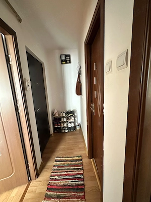 Proprietar vand apartament cu 1cam Nicolina  - imagine 5