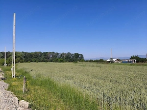Teren 10.294 mp de vânzare Târgu Jiu | Intravilan + Extravilan | Utilități - imagine 3