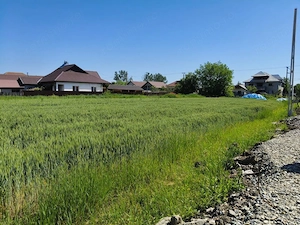 Teren 10.294 mp de vânzare Târgu Jiu | Intravilan + Extravilan | Utilități - imagine 6