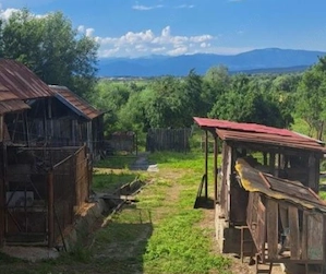 Proprietate cu potențial turistic și agricol | 7.661 mp|Șomanești-GORJ - imagine 7