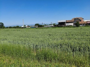 Teren 10.294 mp de vânzare Târgu Jiu | Intravilan + Extravilan | Utilități - imagine 4